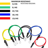 Elastici Fitness Resistance Band 5 Fasce di resistenza Con Ancoraggio Porta