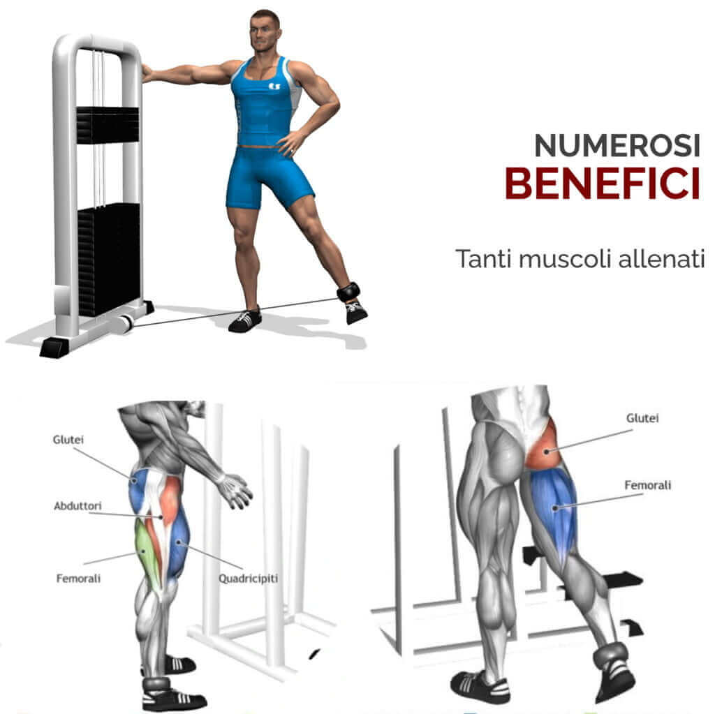 Cinghie Per Caviglie Per Sollevamento Pesi, Cinturino Da Polso Regolabile Per Fitness Con Anello A D Trecce Resistenti Per Addominali Gambe E Muscoli Del Core Bodybuilding Per Uomini E Donne 88876419 Cinghie Per Caviglie Per Sollevamento Pesi, Cinturino Da Polso Regolabile Per Fitness Con Anello A D Trecce Resistenti Per Addominali Gambe E Muscoli Del Core Bodybuilding Per Uomini E Donne 88876419