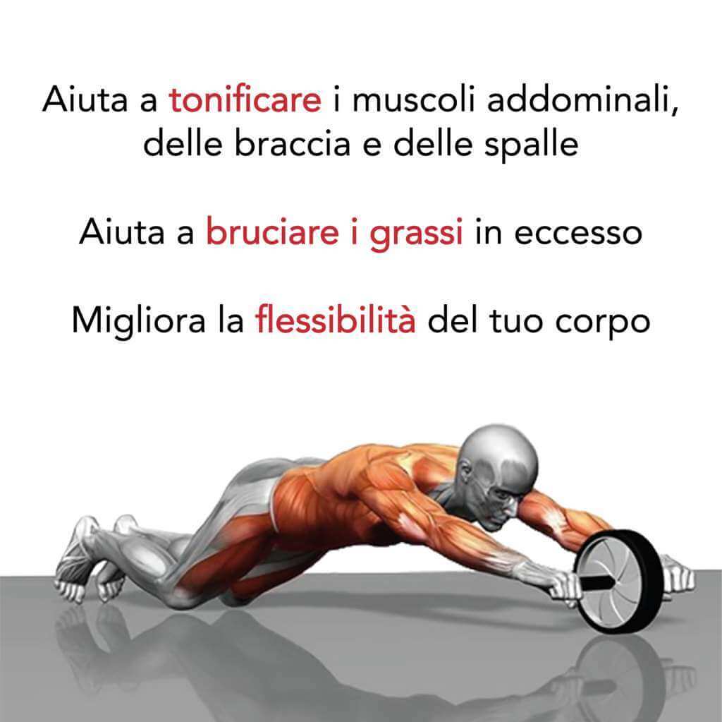 Rullo Addominale Fodoto Con Freno E Rimbalzo Automatico – Attrezzo Gym Per Addominali E Full Body – Grigio